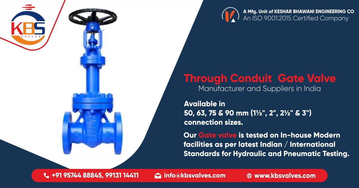 Through Conduit Gate Valves Manufacturer & Suppliers in Ahmedabad