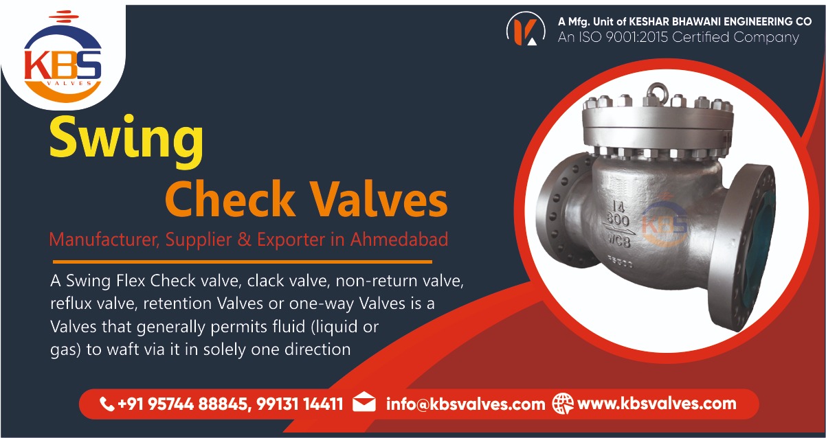 Swing Check Valves Manufacturer in India