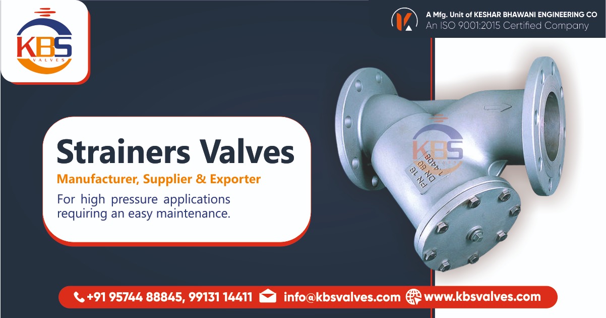 Strainers Valves Manufacturer in Ahmedabad