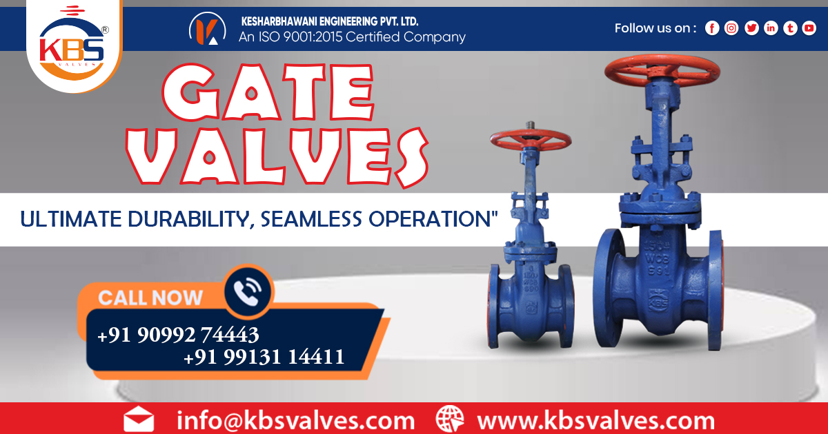 Supplier of Gate Valve in Uttar Pradesh