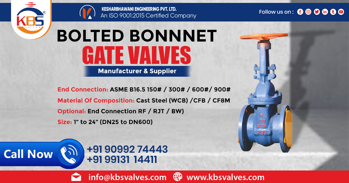 Supplier of Bolted Bonnet Gate Valve in Maharashtra