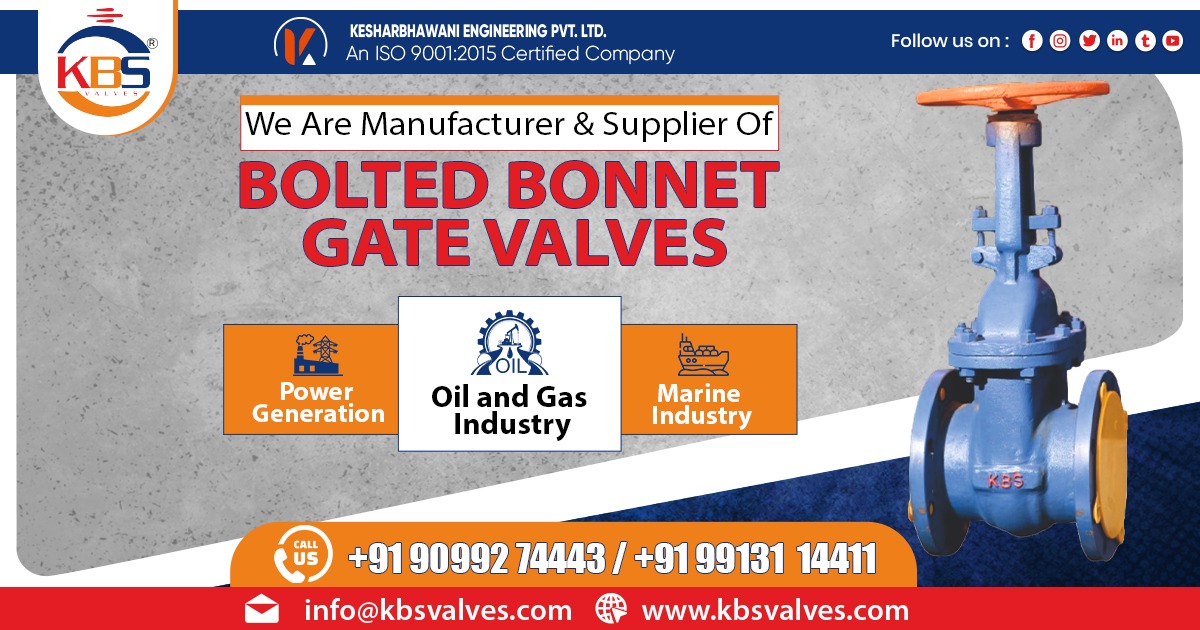 Supplier of Bolted Bonnet Gate Valve in Rajasthan