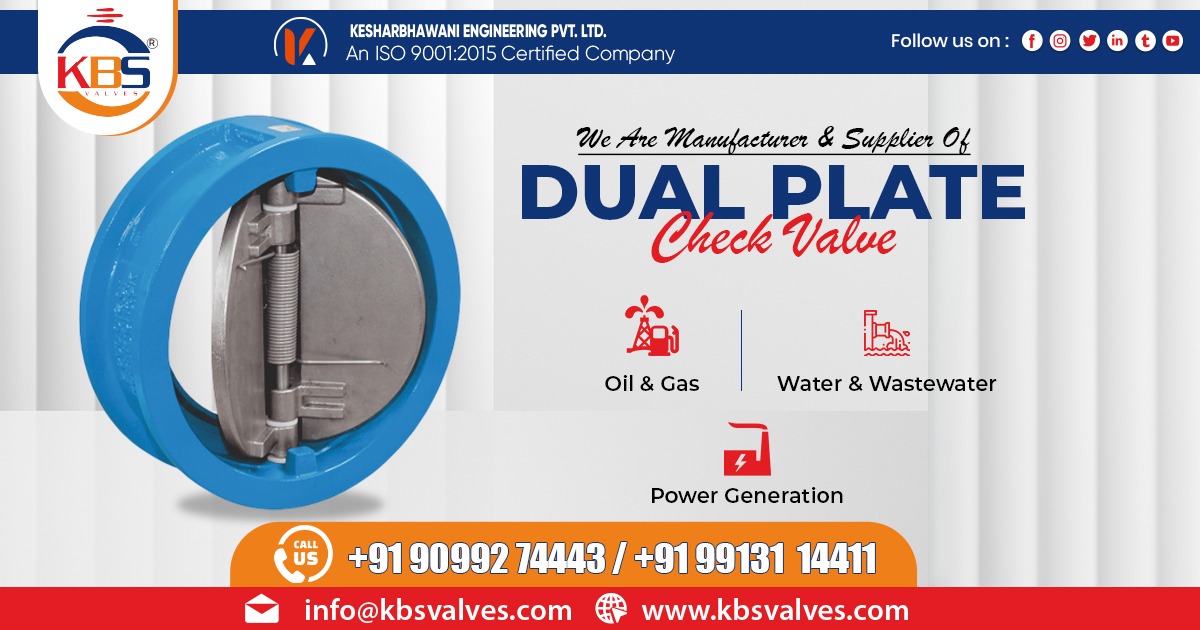 Supplier of Dual Plate Check Valve in Maharashtra