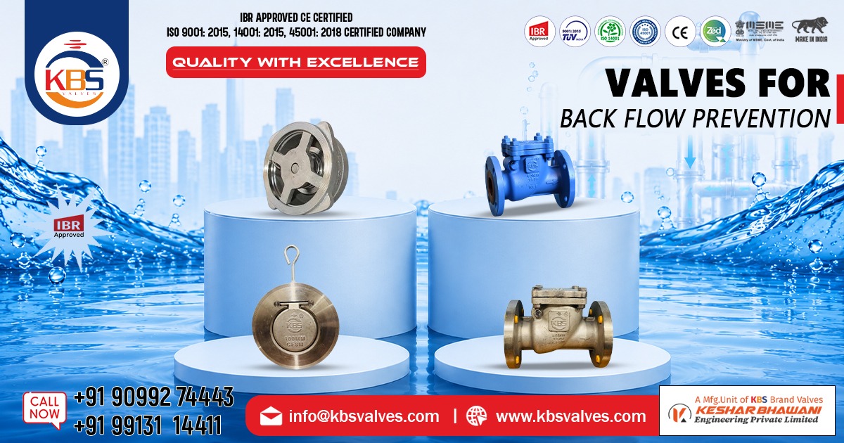 Back Flow Prevention Valve in Haryana