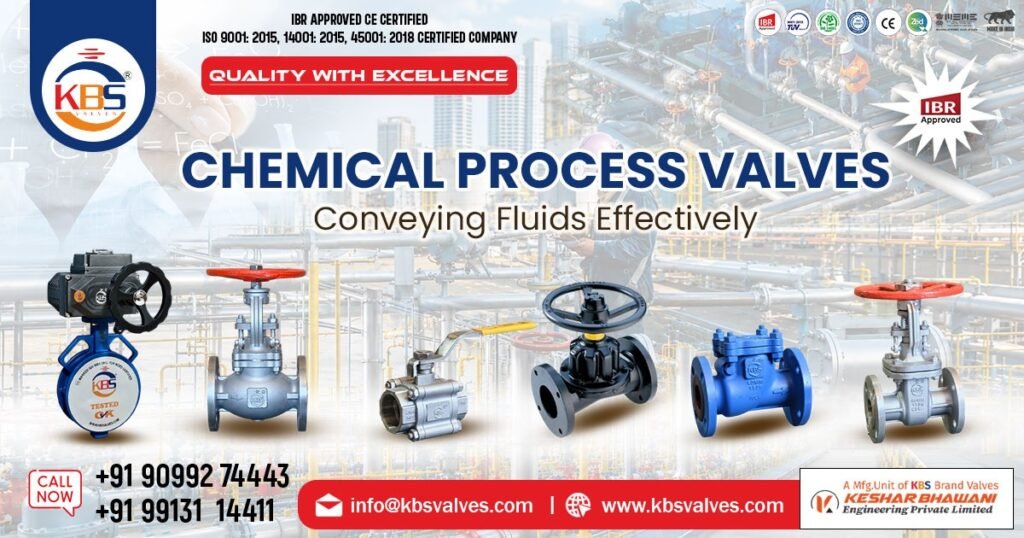 Chemical Process Valve in Gujarat