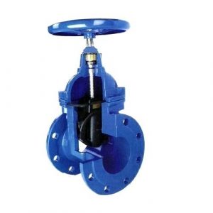 resilient-seated-gate-valve-500x500